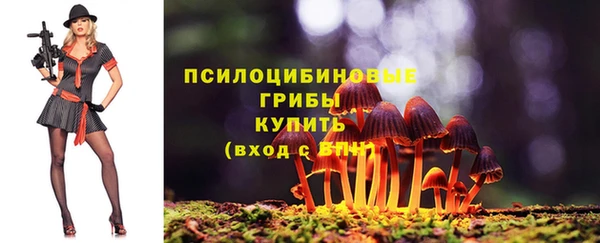 меф Корсаков