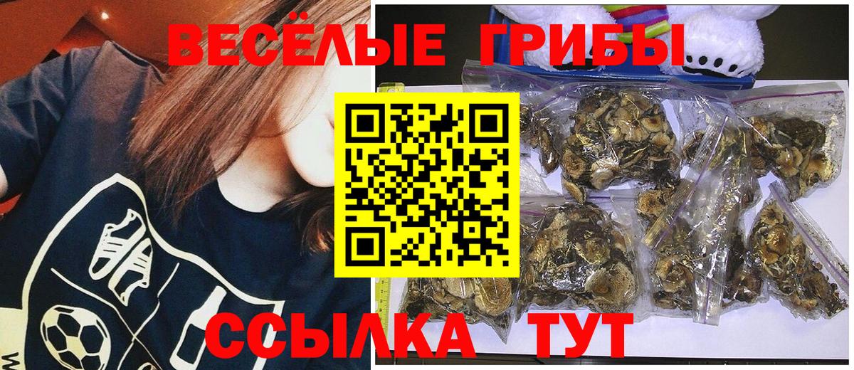 Нарткала  Псилоцибиновые грибы прущие грибы  Вход с VPN 