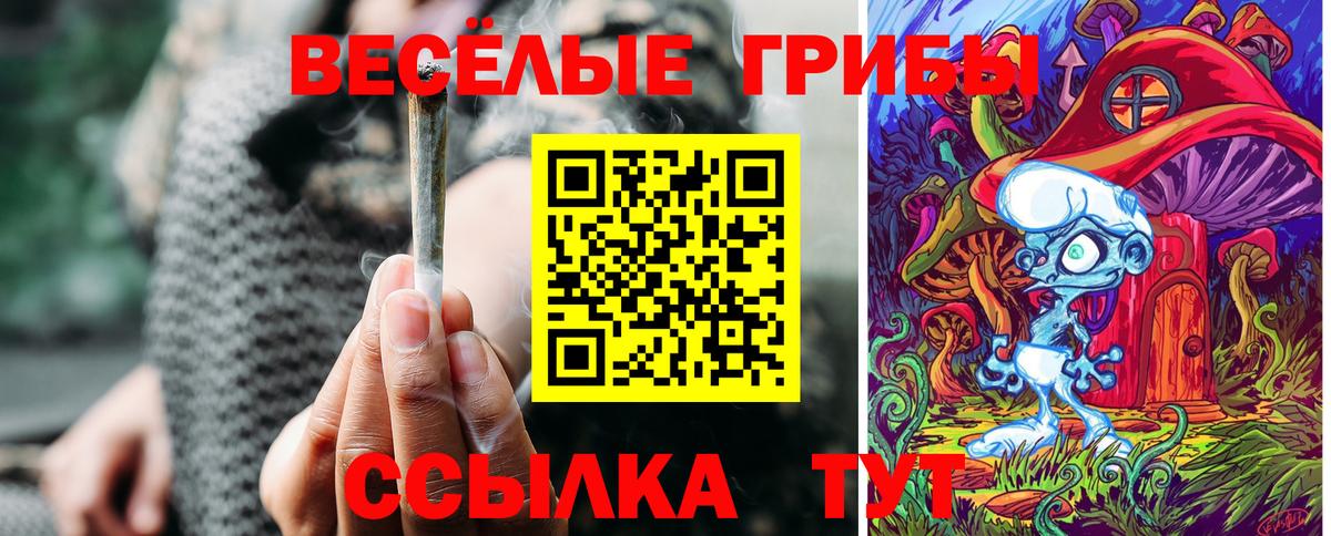 Галлюциногенные грибы Cubensis Нарткала